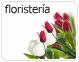 programa floristeria